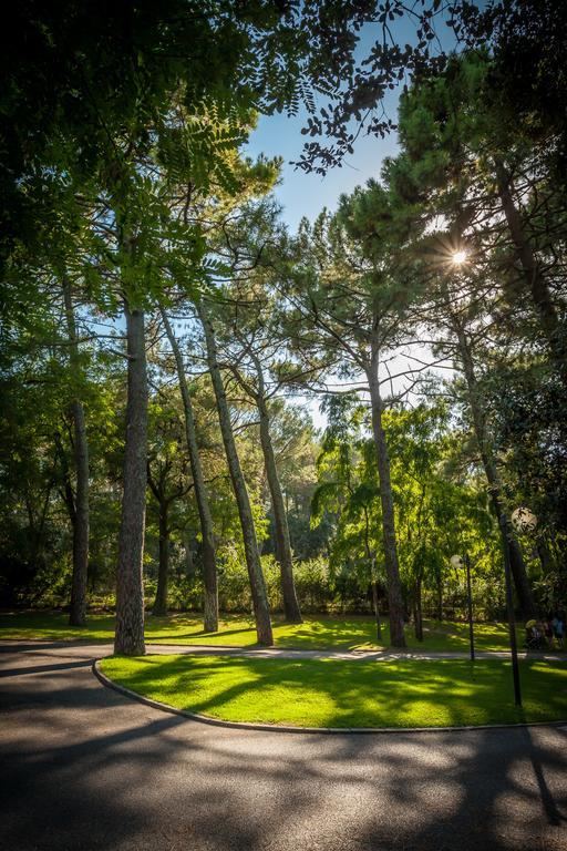 Camping La Sousta**** Remoulins Exteriör bild