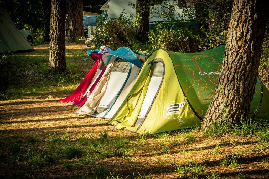 Camping La Sousta**** Remoulins Exteriör bild