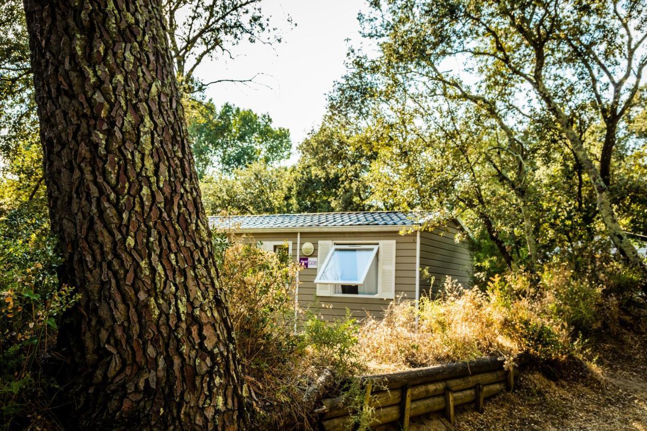 Camping La Sousta**** Remoulins Exteriör bild